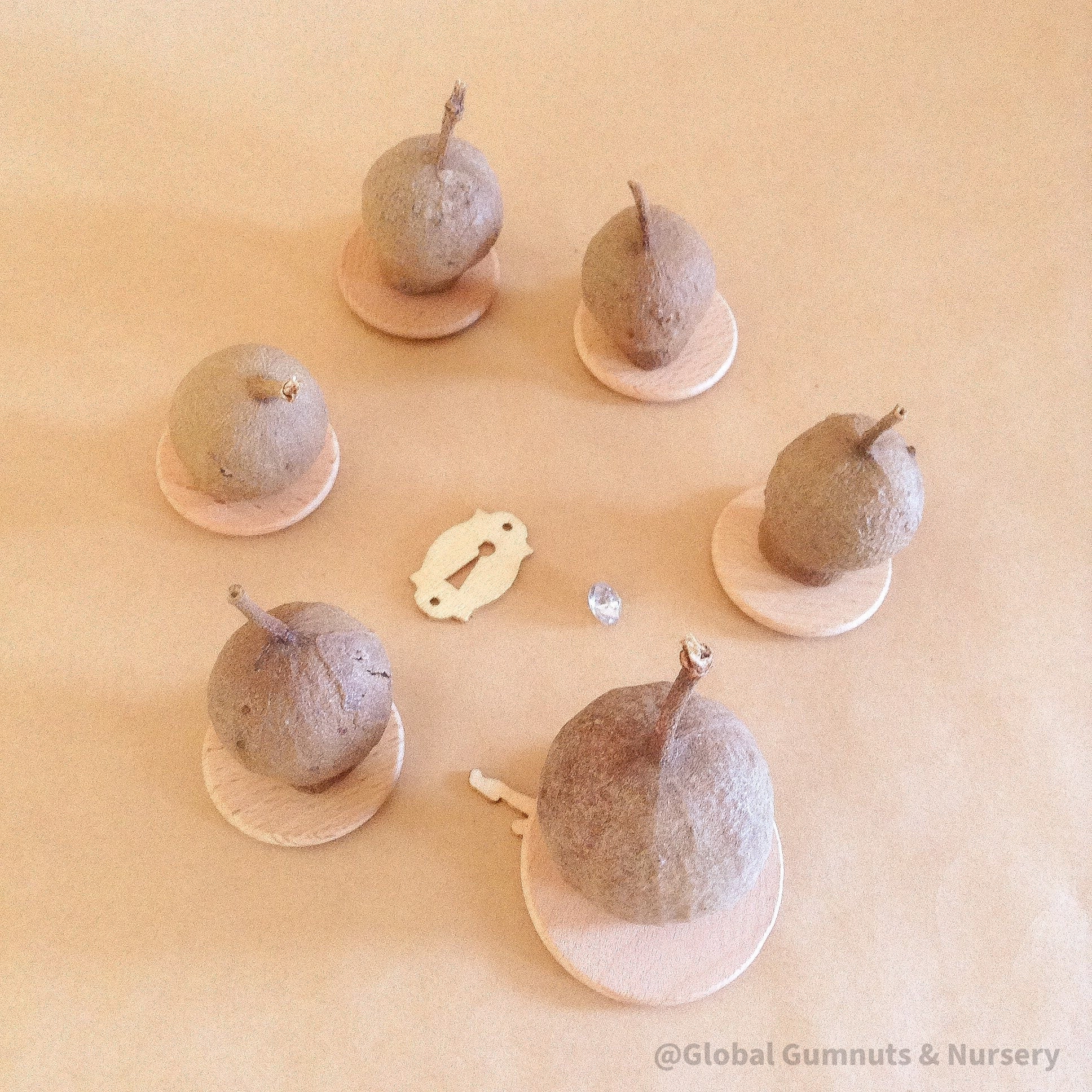 Enchanted Fairy Dough Stamp Set: 7-piece stamp set with fairy-themed designs for creative play.