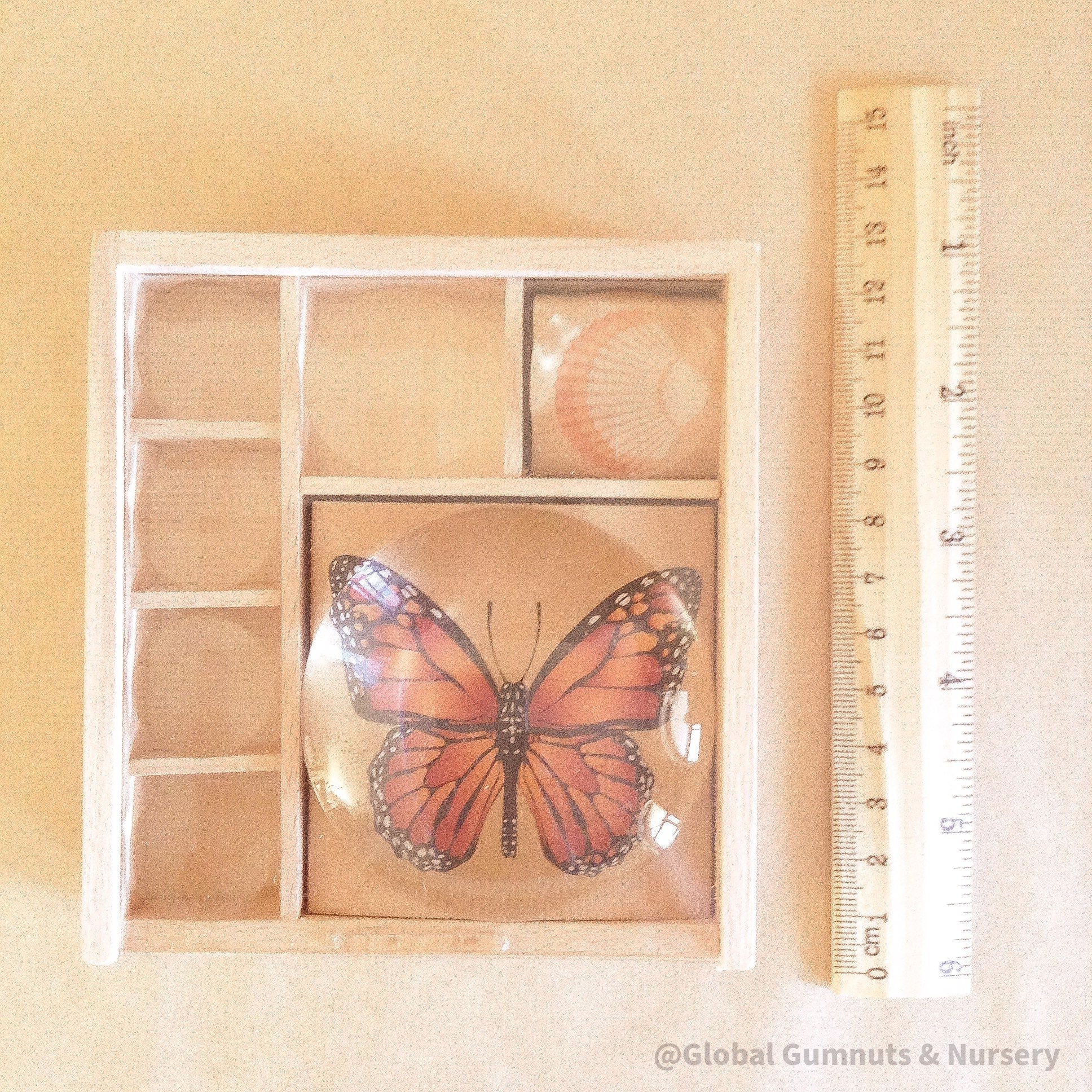 Bug box nature collection organizer with a kids' magnifying glass. Perfect for little explorers to collect and study insects.
