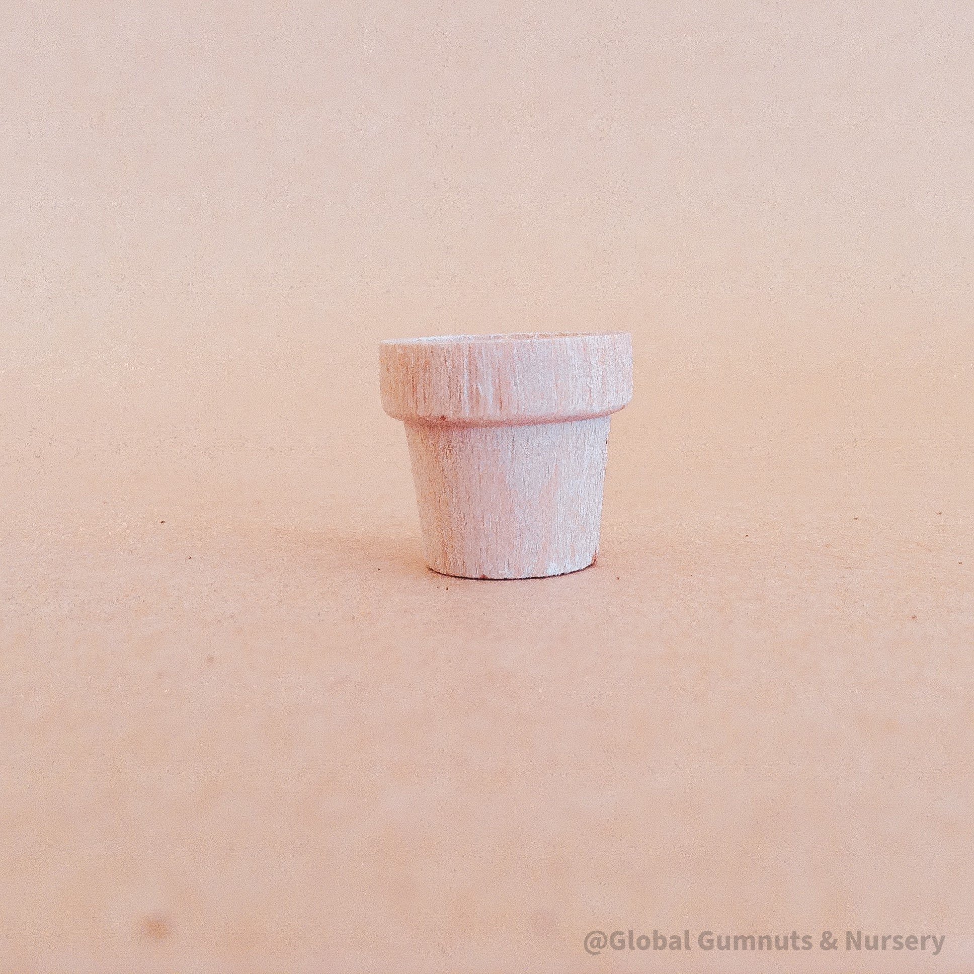 Miniature wooden flower pots for dollhouses and crafts. Ideal for creating tiny gardens or adding charm to DIY projects.
