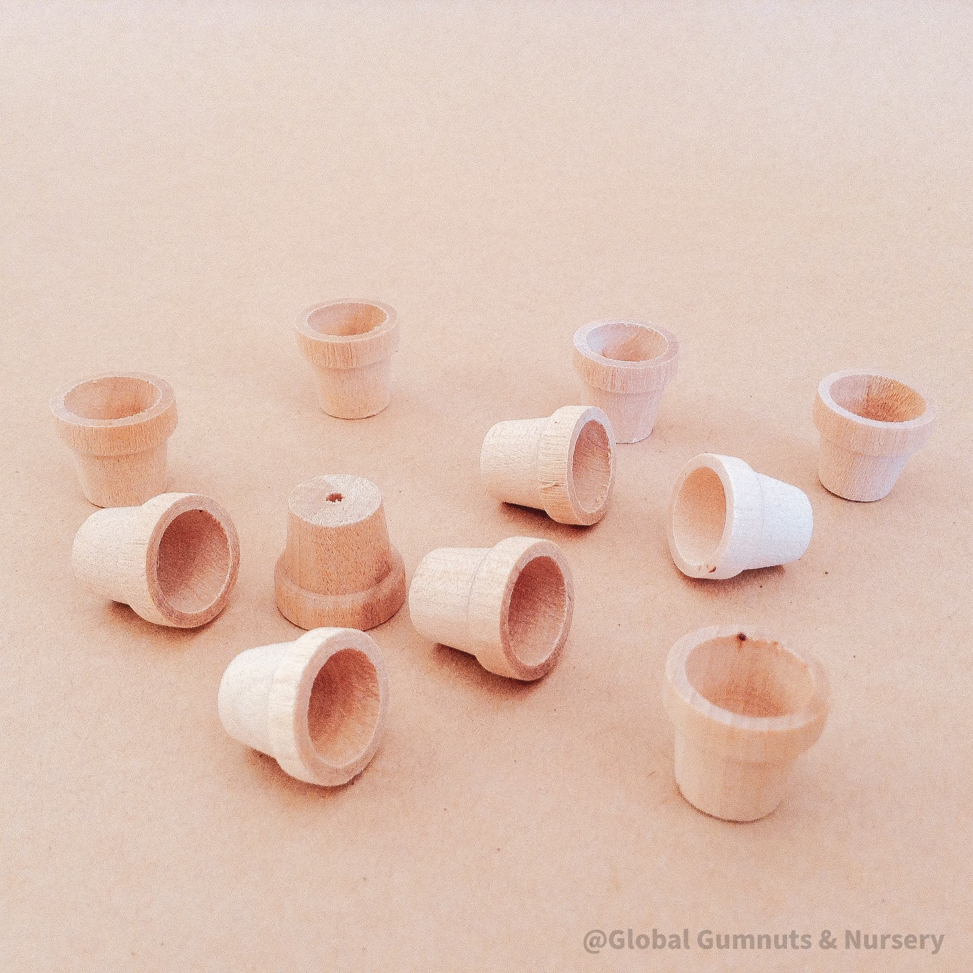 Miniature wooden flower pots for dollhouses and crafts. Ideal for creating tiny gardens or adding charm to DIY projects.
