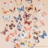 Collection de papillons arc-en-ciel étonnants | 5 ou 10 pièces