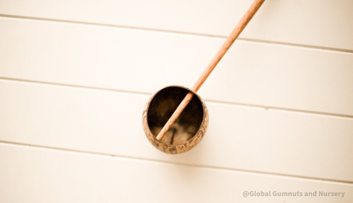 Short handle water cup scoop, a coconut bowl measuring tool for kids.