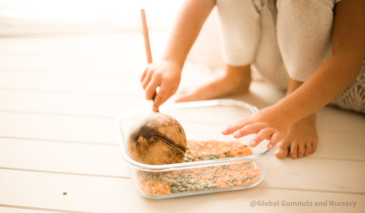 Short handle water cup scoop, a coconut bowl measuring tool for kids.