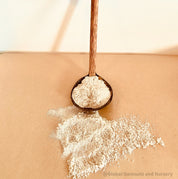 Coconut Water Scoop: Handcrafted coconut ladle for water play or serving.