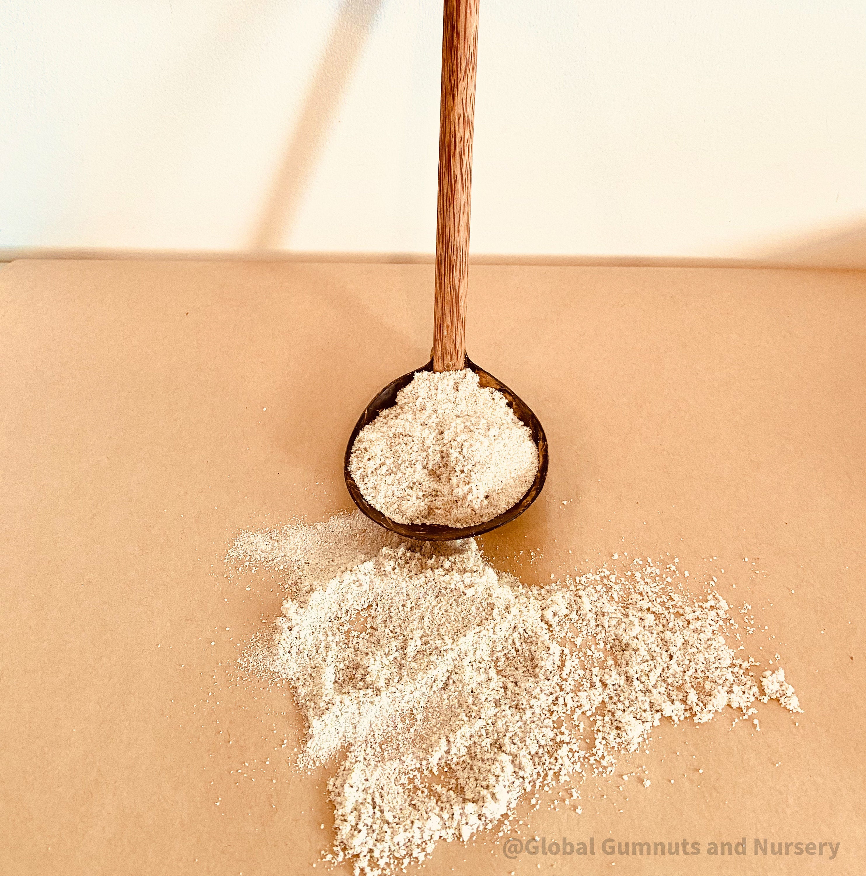 Coconut Water Scoop: Handcrafted coconut ladle for water play or serving.