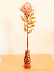 Tall Banksia Vase: Handcrafted banksia vase for home decor.