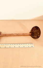 Coconut Water Scoop: Handcrafted coconut ladle for water play or serving.