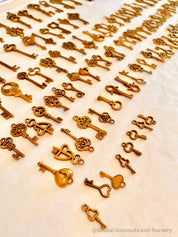 Golden Keys: Decorative Santa, fairy, and elf keys for storytelling or holiday fun.