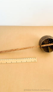 Short handle sand or water scoop, a kid-friendly tool for mud kitchens or play.
