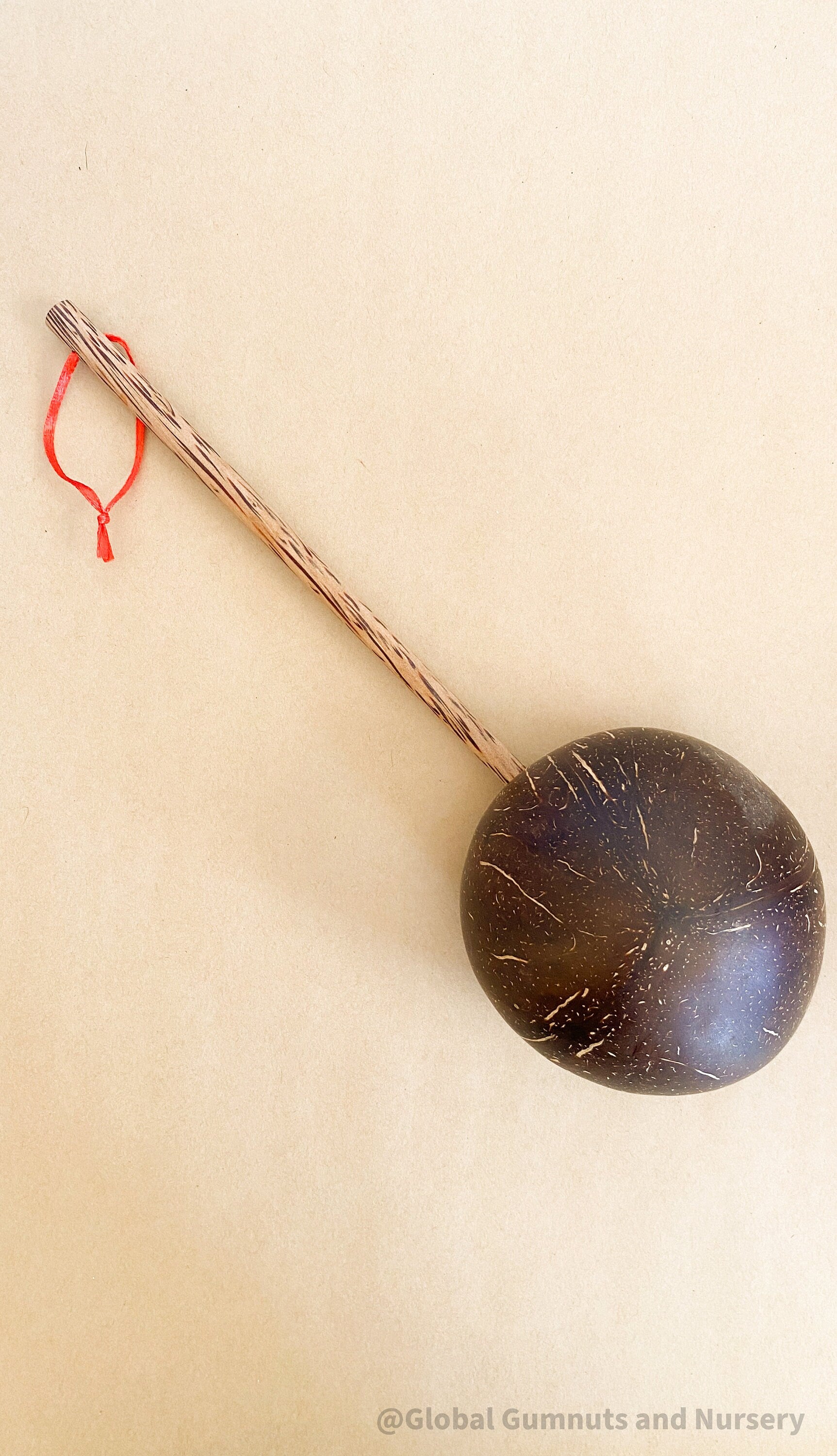 Short handle water cup scoop, a coconut bowl measuring tool for kids.