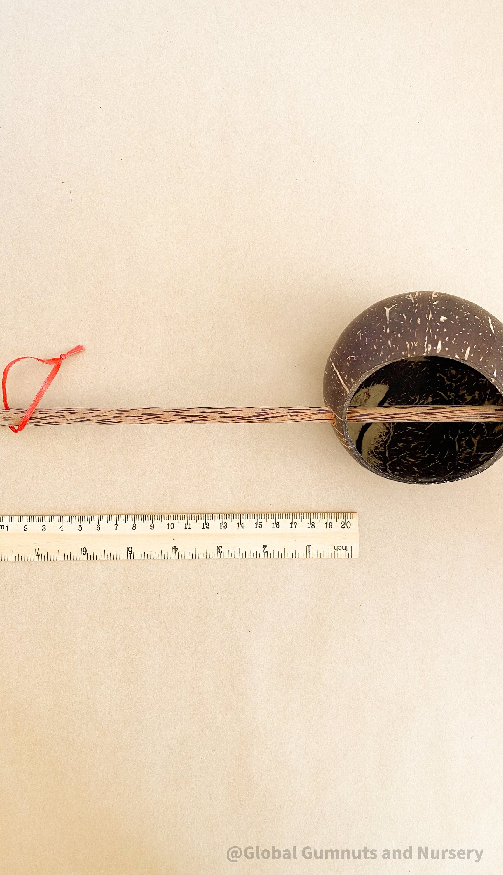 Short handle water cup scoop, a coconut bowl measuring tool for kids.