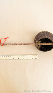 Short handle water cup scoop, a coconut bowl measuring tool for kids.