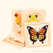 Montessori frog life cycle puzzle, an educational toy for exploring nature and life sciences.