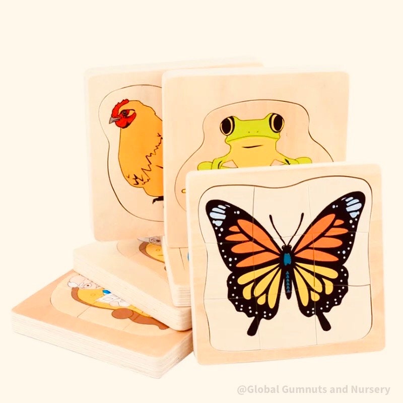 Montessori frog life cycle puzzle, an educational toy for exploring nature and life sciences.