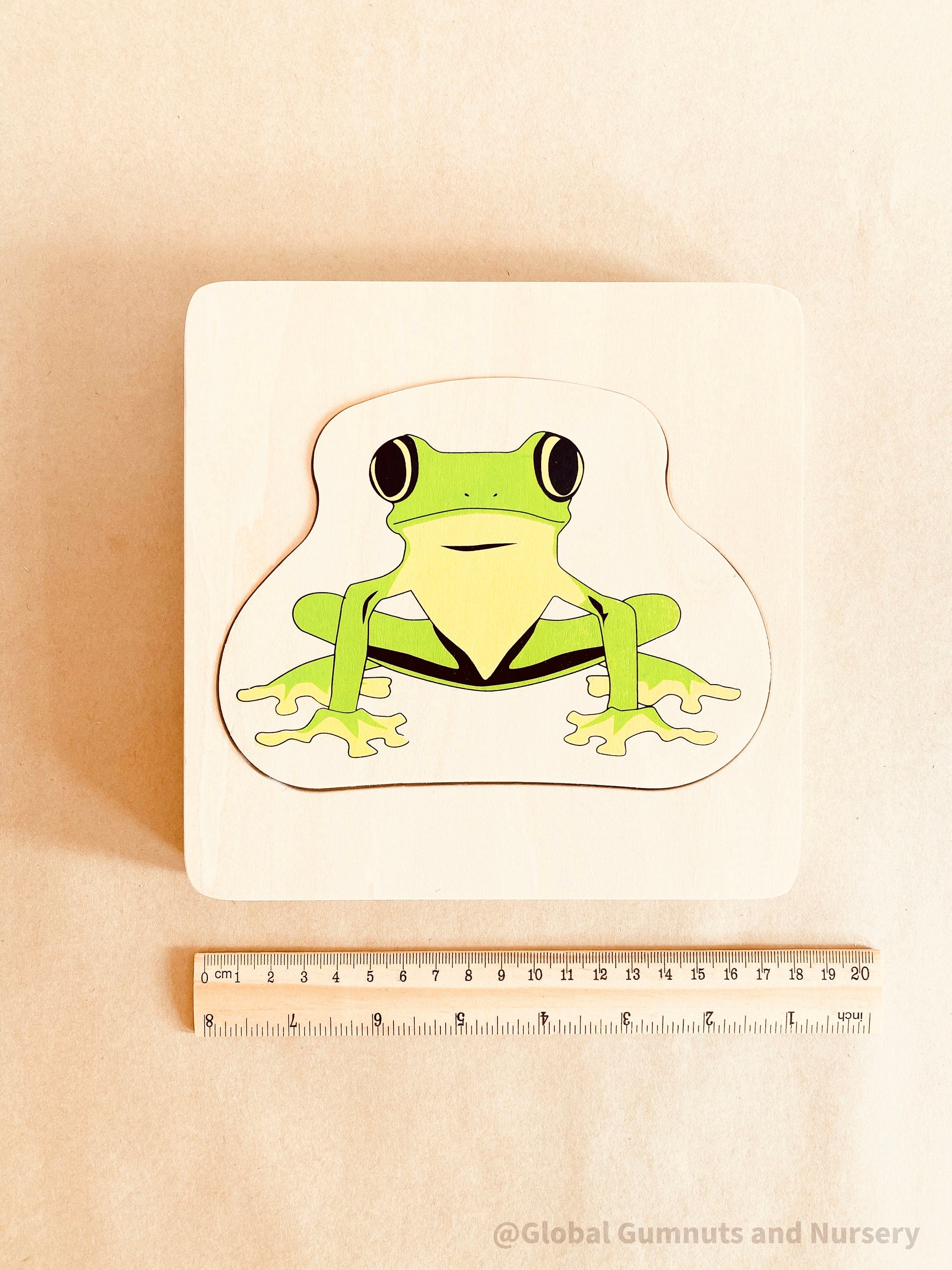 Montessori frog life cycle puzzle, an educational toy for exploring nature and life sciences.