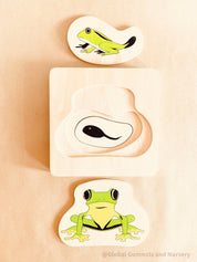 Montessori frog life cycle puzzle, an educational toy for exploring nature and life sciences.