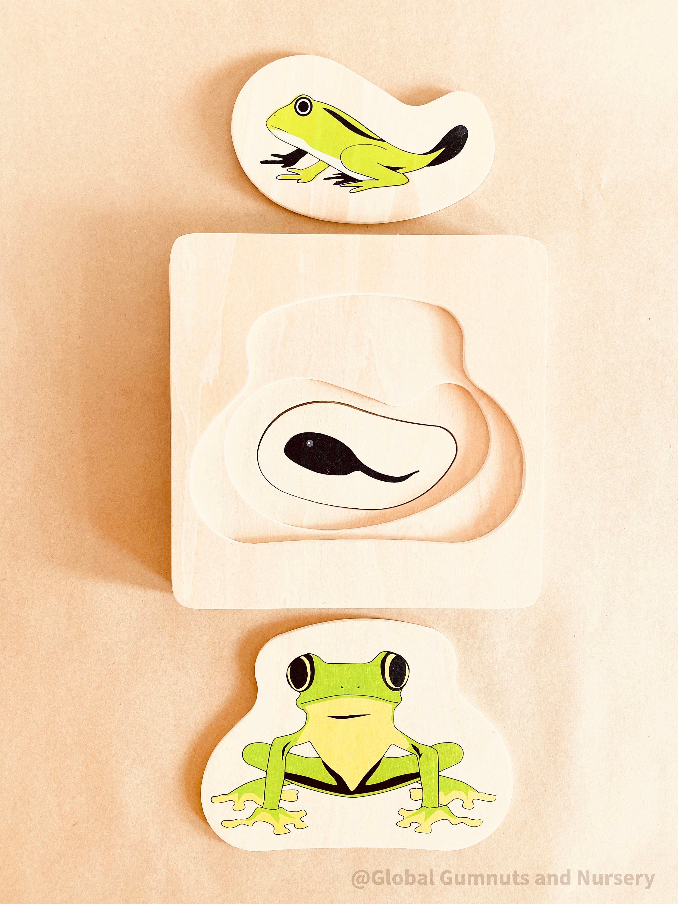 Montessori frog life cycle puzzle, an educational toy for exploring nature and life sciences.