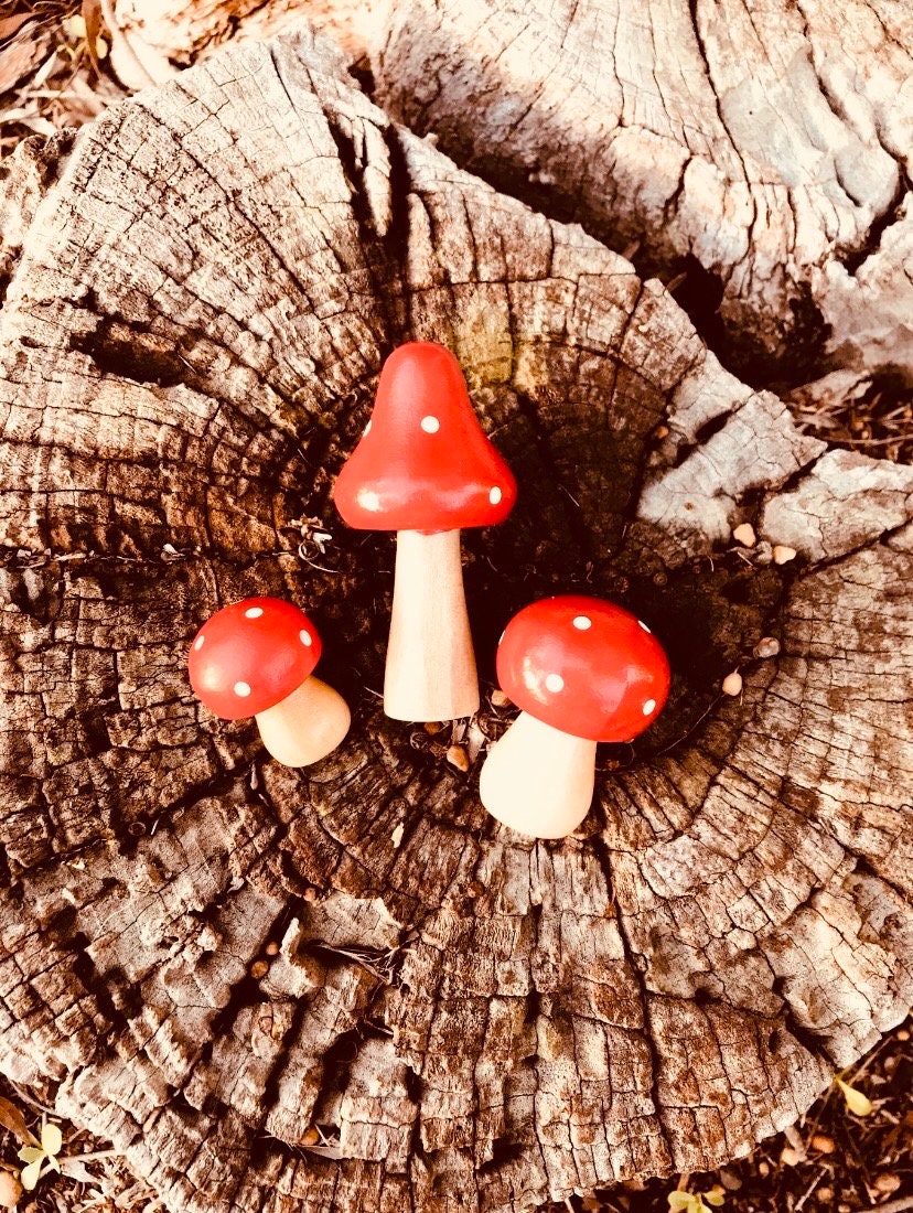 Fairy garden wooden mushrooms, handcrafted for magical small-world setups or Christmas elf displays.