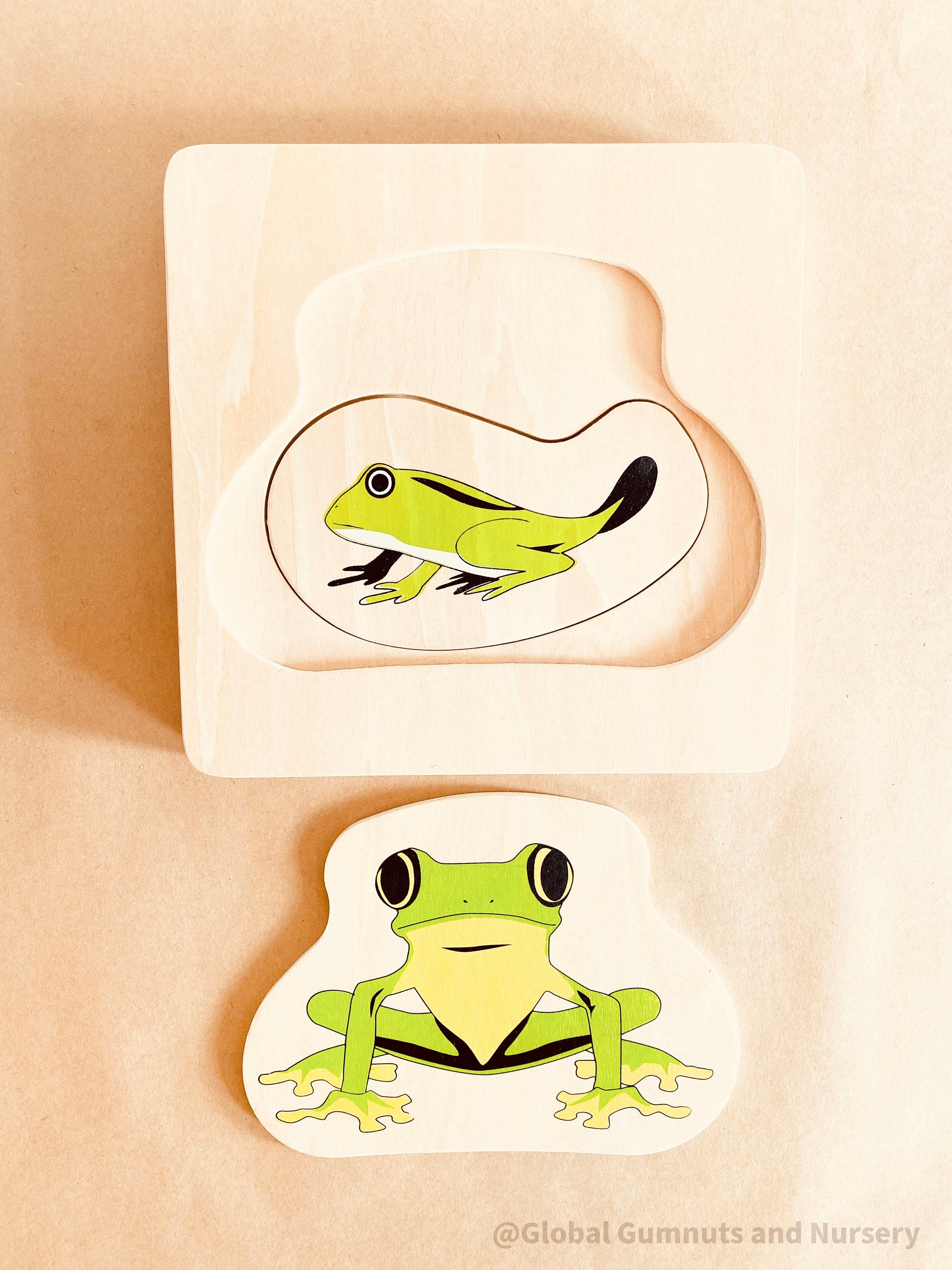 Montessori frog life cycle puzzle, an educational toy for exploring nature and life sciences.