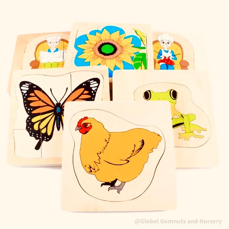 Sunflower life cycle puzzle, Montessori-style educational tool.