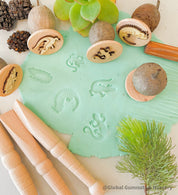 Reptile and Amphibian Gumnut Stamps: Set of 5 gumnut stamps featuring reptiles and amphibians, perfect for sensory play or nature-themed crafts.