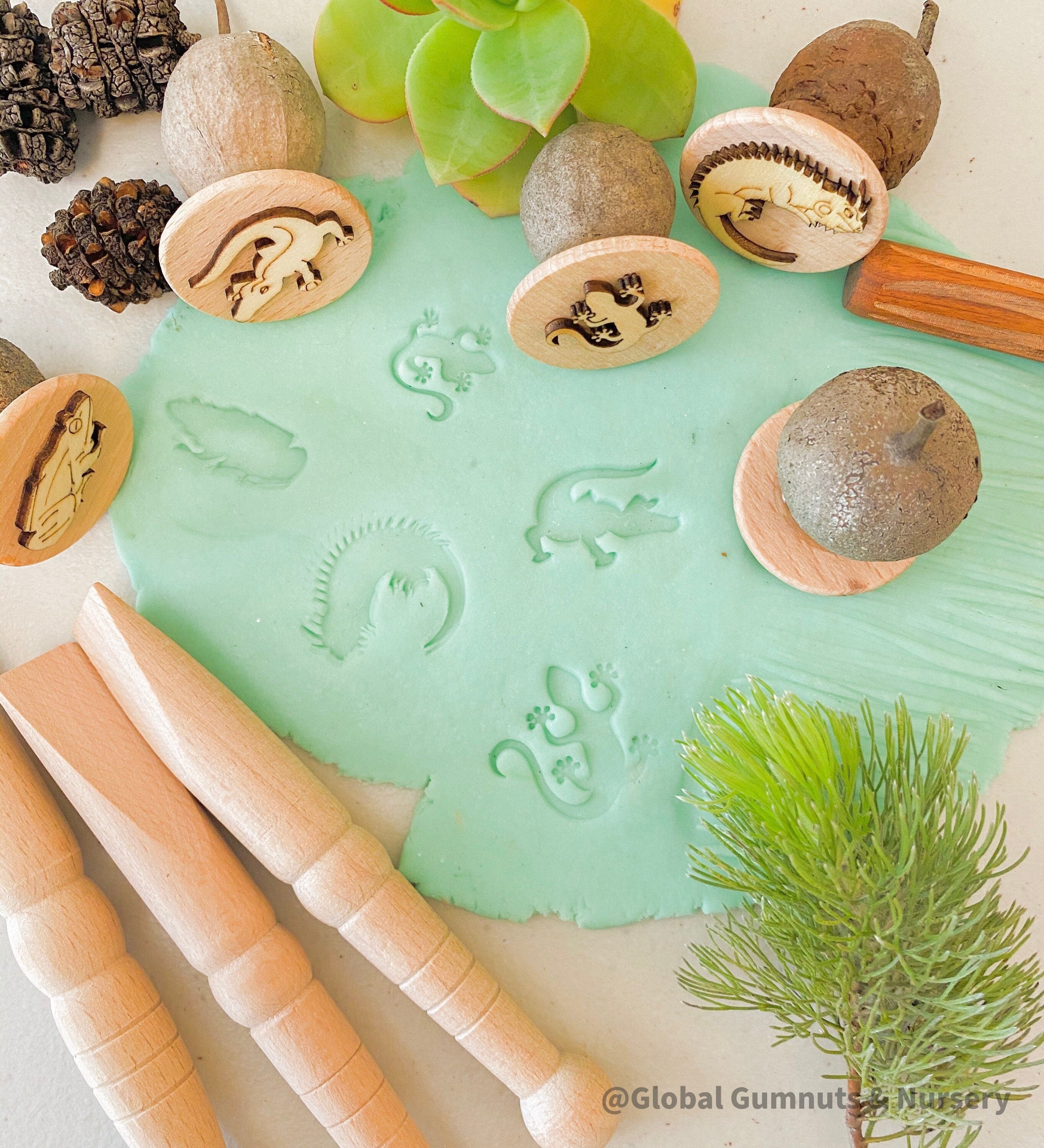 Reptile and Amphibian Gumnut Stamps: Set of 5 gumnut stamps featuring reptiles and amphibians, perfect for sensory play or nature-themed crafts.