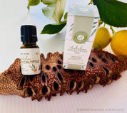 Essential Oil Banksia Stand: Elegant banksia wood stand designed to hold essential oils, adding a natural touch to any room or display.