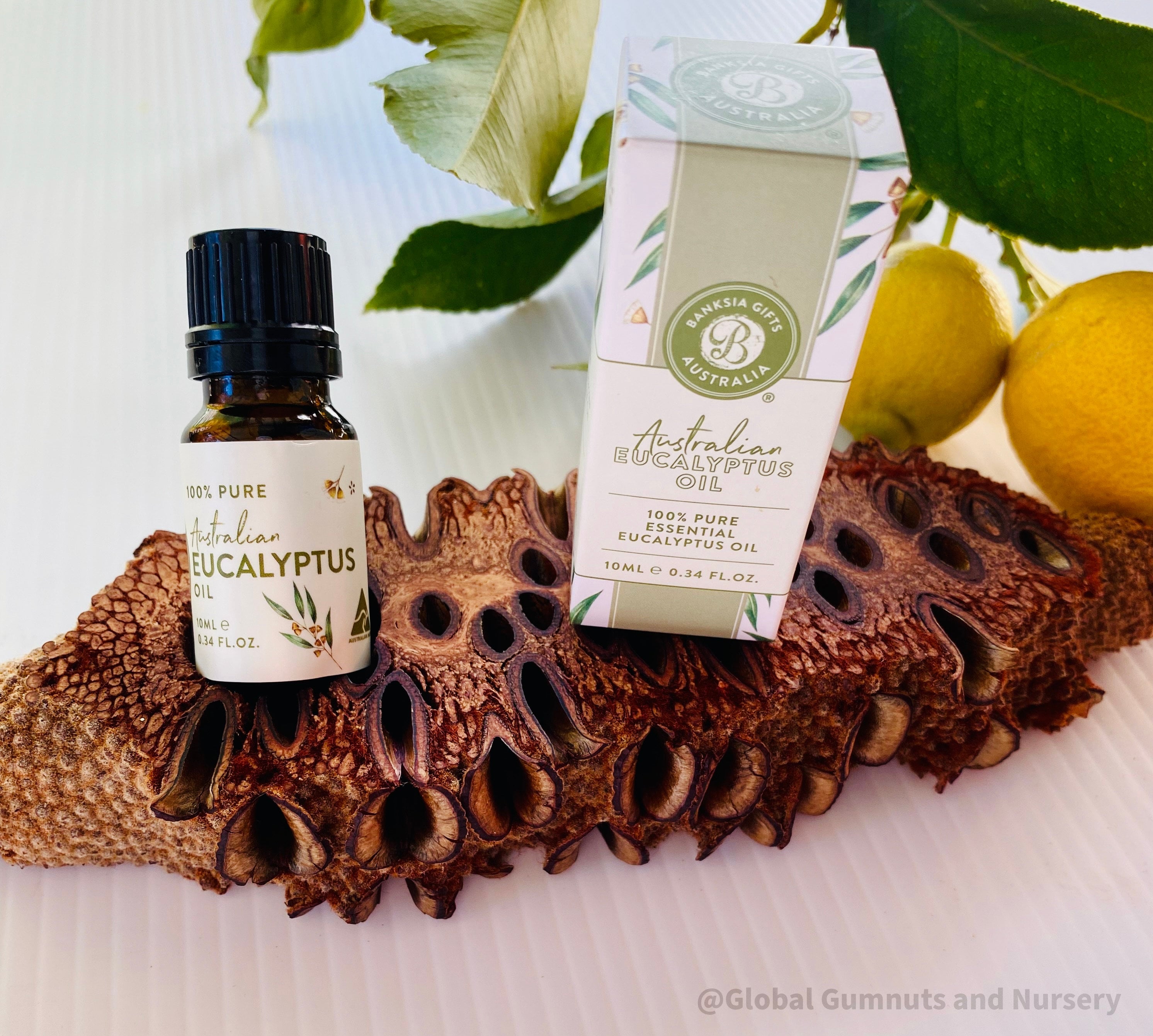 Essential Oil Banksia Stand: Elegant banksia wood stand designed to hold essential oils, adding a natural touch to any room or display.