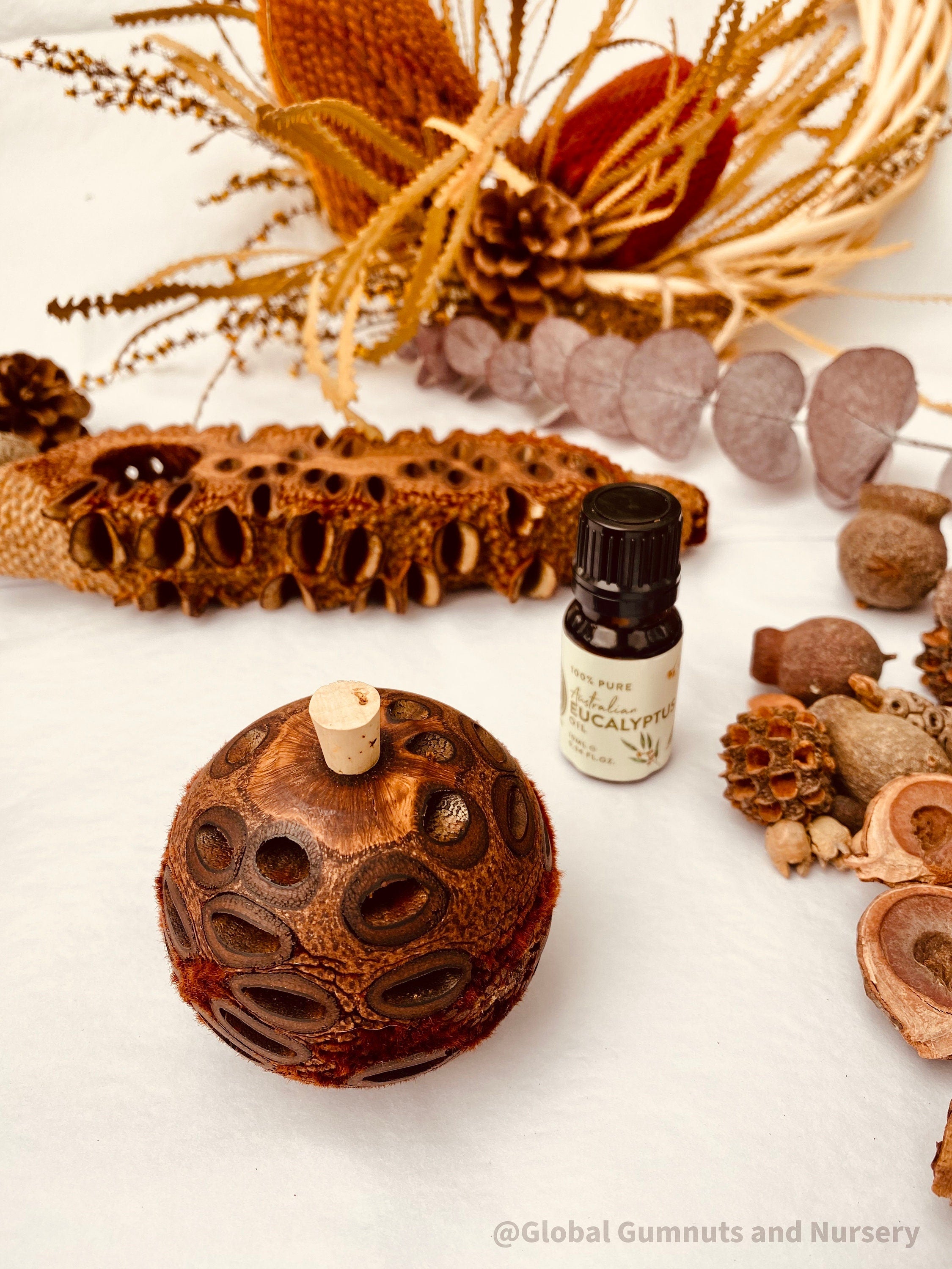 Small Banksia Essential Oil Diffuser: Compact banksia oil diffuser, perfect for filling small spaces with eucalyptus fragrance or natural aromas.