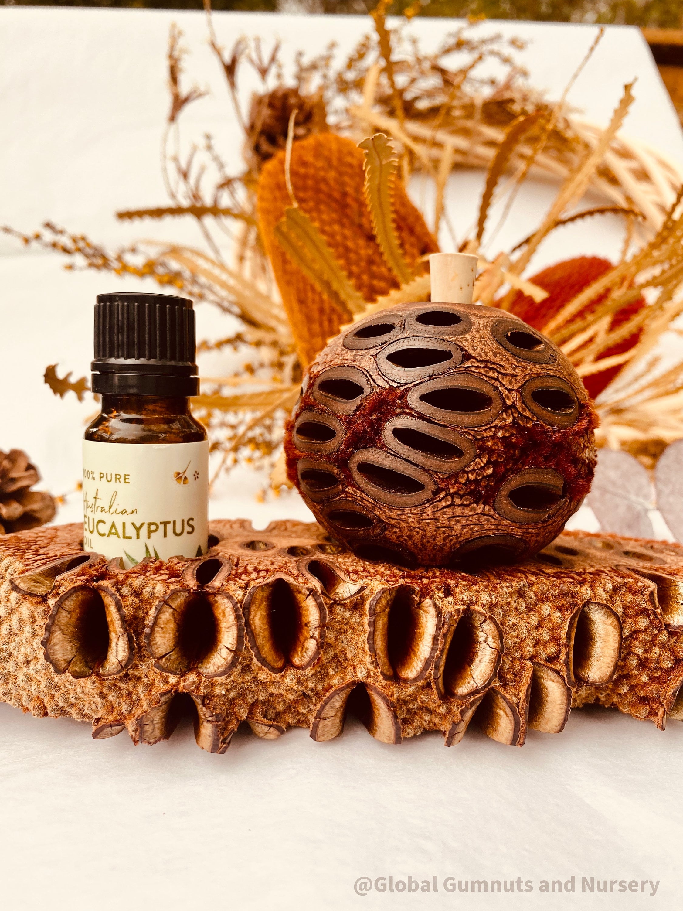 Small Banksia Essential Oil Diffuser: Compact banksia oil diffuser, perfect for filling small spaces with eucalyptus fragrance or natural aromas.