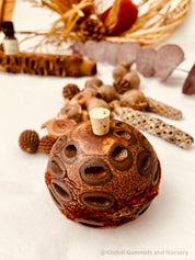 Small Banksia Essential Oil Diffuser: Compact banksia oil diffuser, perfect for filling small spaces with eucalyptus fragrance or natural aromas.