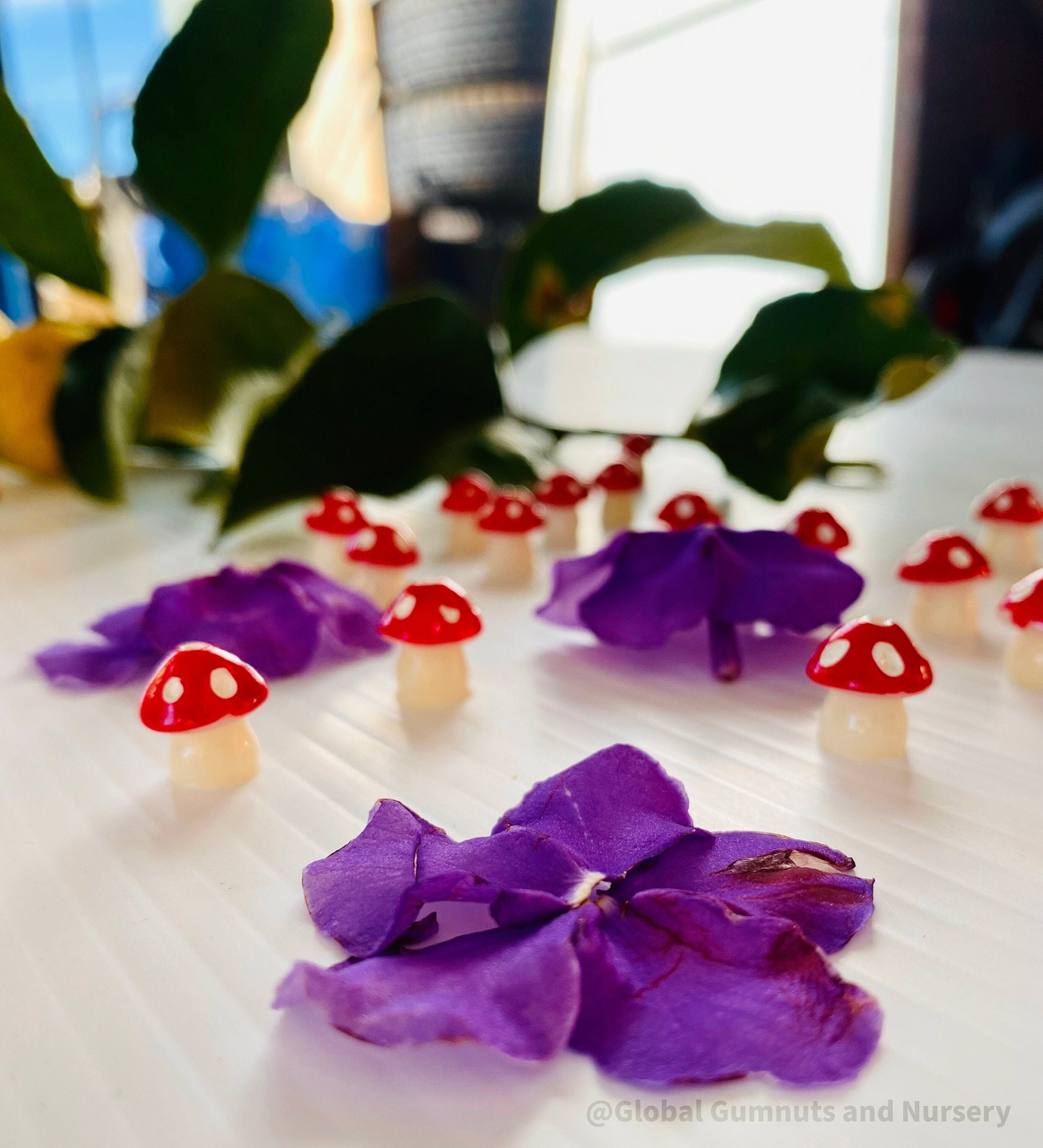 Red Resin Mushrooms: Miniature red resin mushrooms for fairy gardens and crafts.