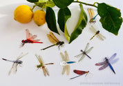 Amazing Dragonflies: Set of 10 flat dragonfly decorations.