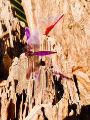 Amazing Dragonflies: Set of 10 flat dragonfly decorations.