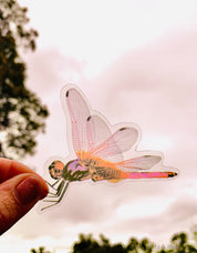 Amazing Dragonflies: Set of 10 flat dragonfly decorations.
