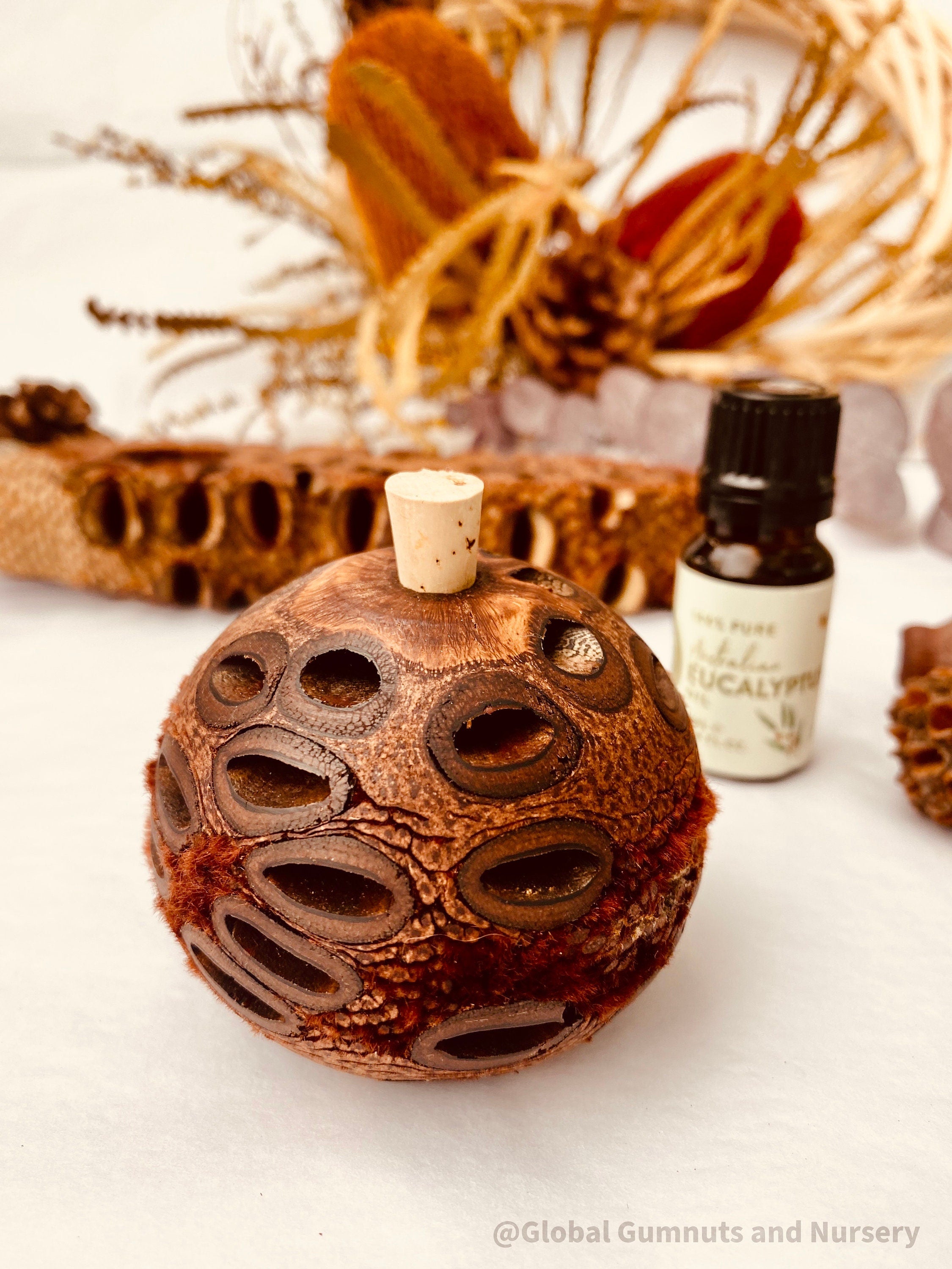 Small Banksia Essential Oil Diffuser: Compact banksia oil diffuser, perfect for filling small spaces with eucalyptus fragrance or natural aromas.