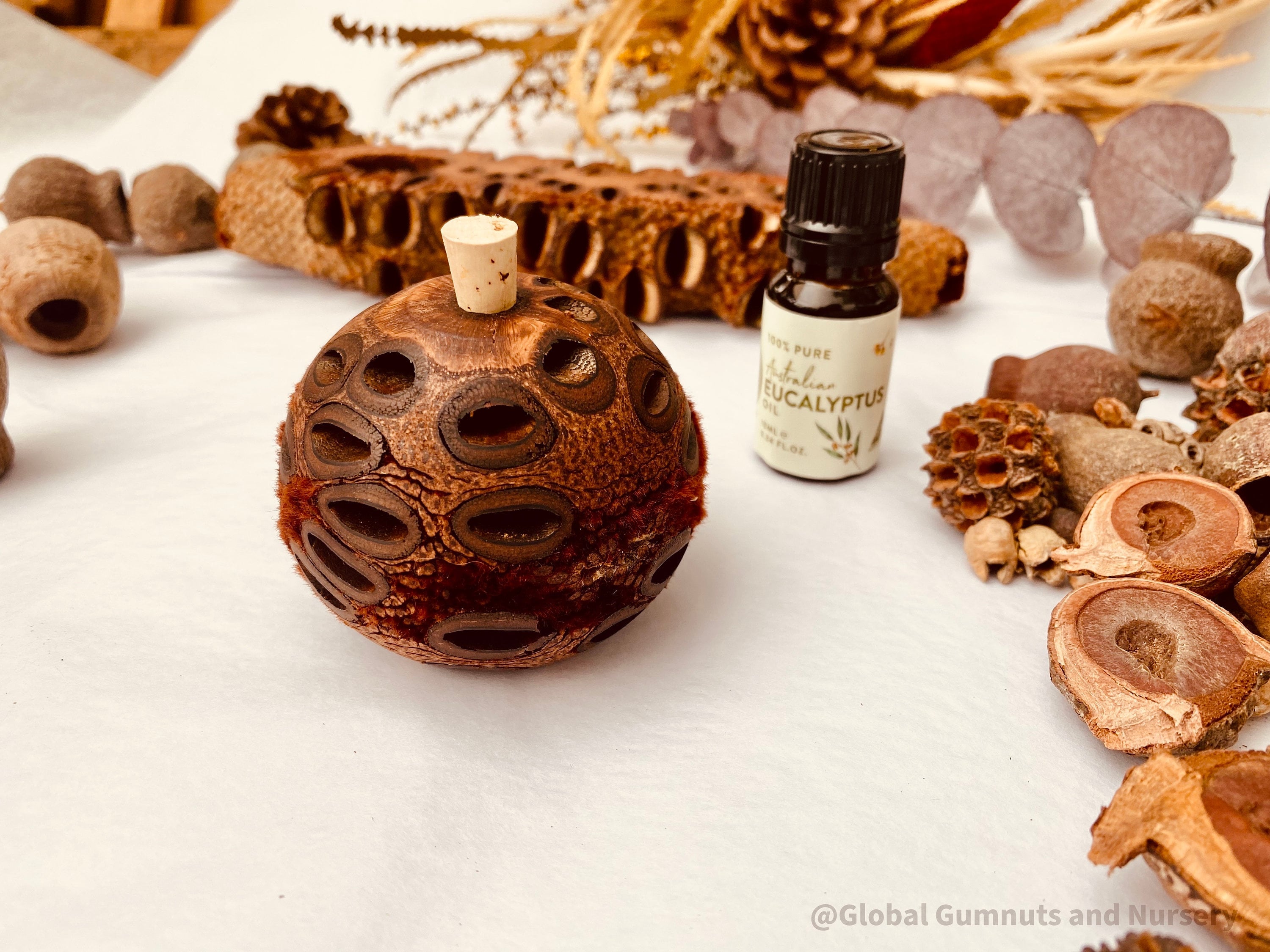 Small Banksia Essential Oil Diffuser: Compact banksia oil diffuser, perfect for filling small spaces with eucalyptus fragrance or natural aromas.