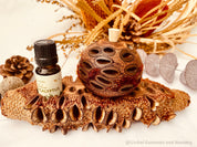 Small Banksia Essential Oil Diffuser: Compact banksia oil diffuser, perfect for filling small spaces with eucalyptus fragrance or natural aromas.