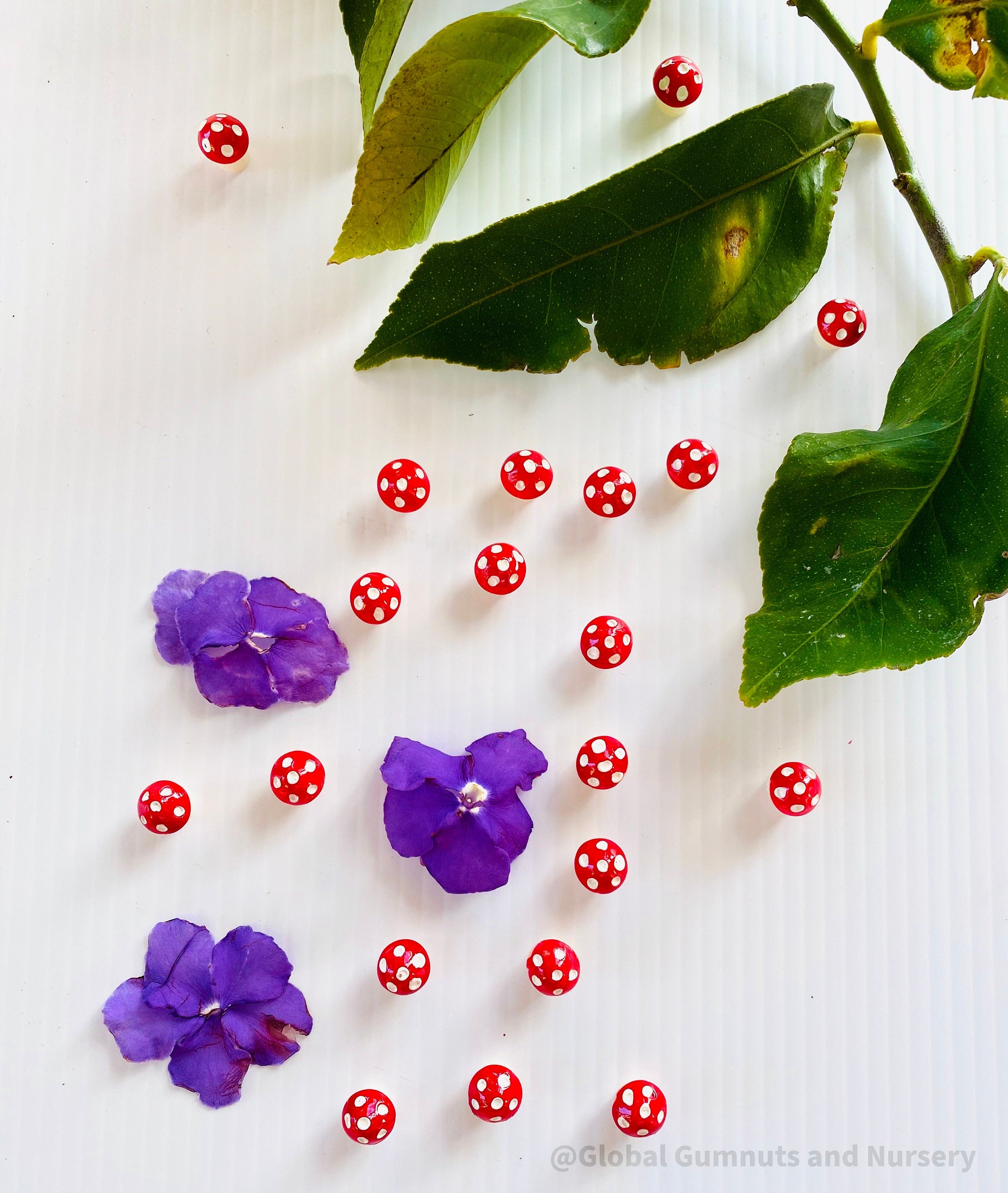 Red Resin Mushrooms: Miniature red resin mushrooms for fairy gardens and crafts.