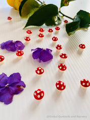 Red Resin Mushrooms: Miniature red resin mushrooms for fairy gardens and crafts.