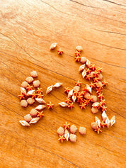 Orange and white starfish & shell beads coastal crafting kit, ideal for creative beach-themed projects.