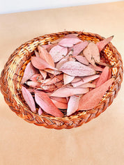 Small sun-kissed gum leaves, dried botanicals for crafts, wedding decor, and sensory play.
