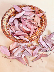 Small sun-kissed gum leaves, dried botanicals for crafts, wedding decor, and sensory play.
