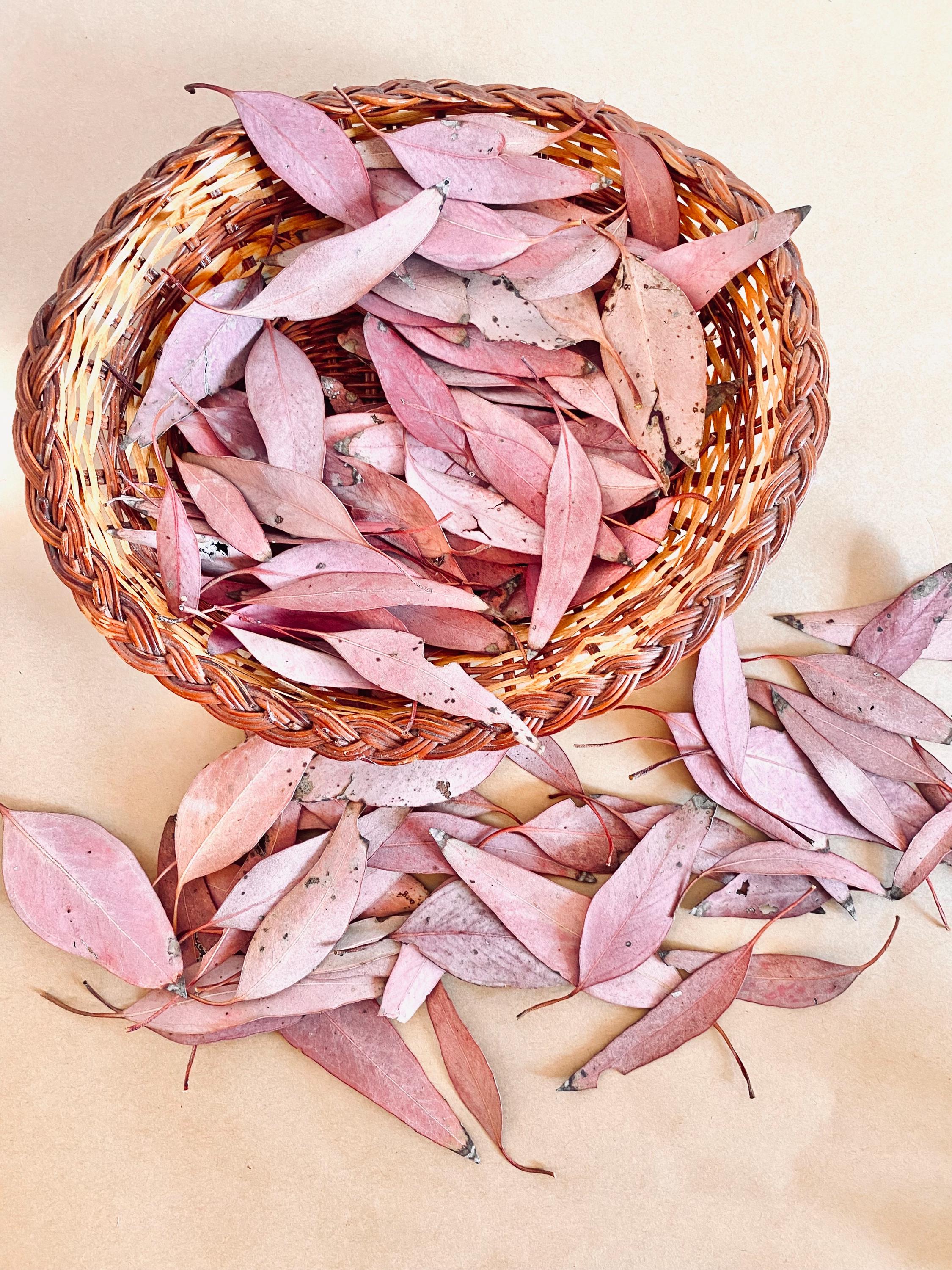 Small sun-kissed gum leaves, dried botanicals for crafts, wedding decor, and sensory play.
